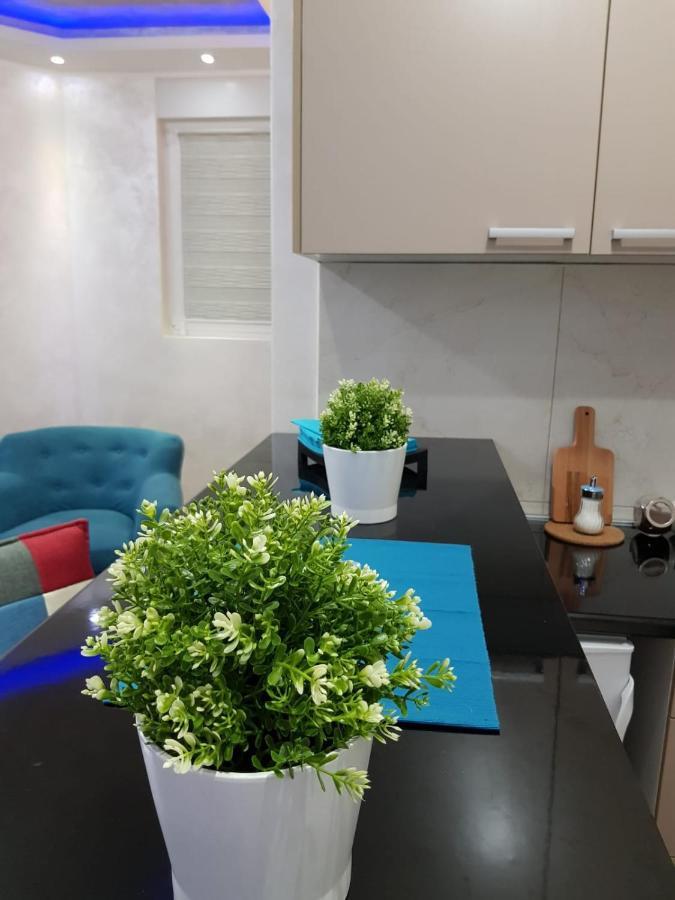 Apartmani Venera ベオグラード エクステリア 写真